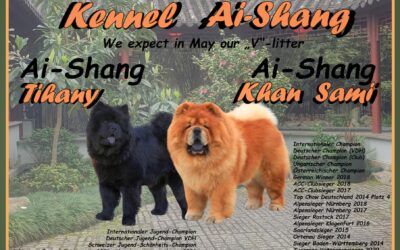 Kennel Ai-Shang